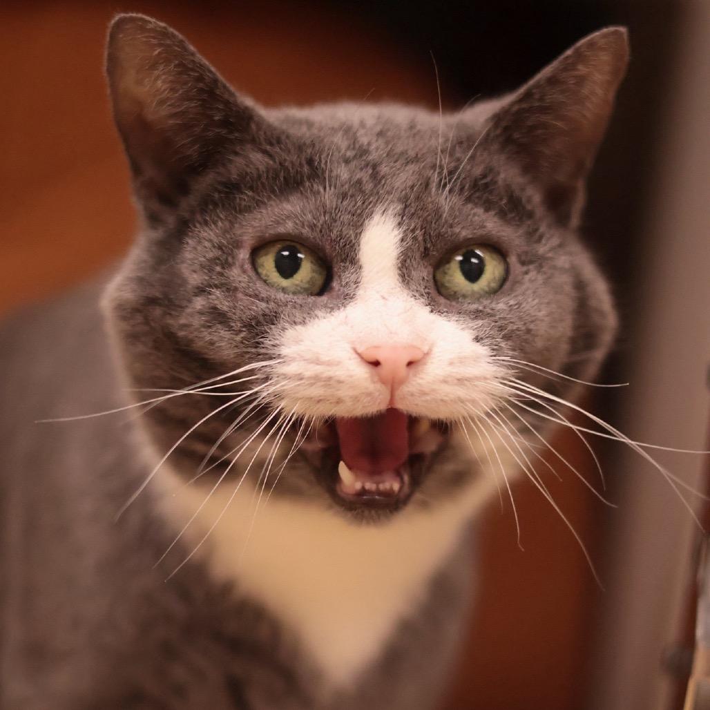 Gradient — thumbnail 5