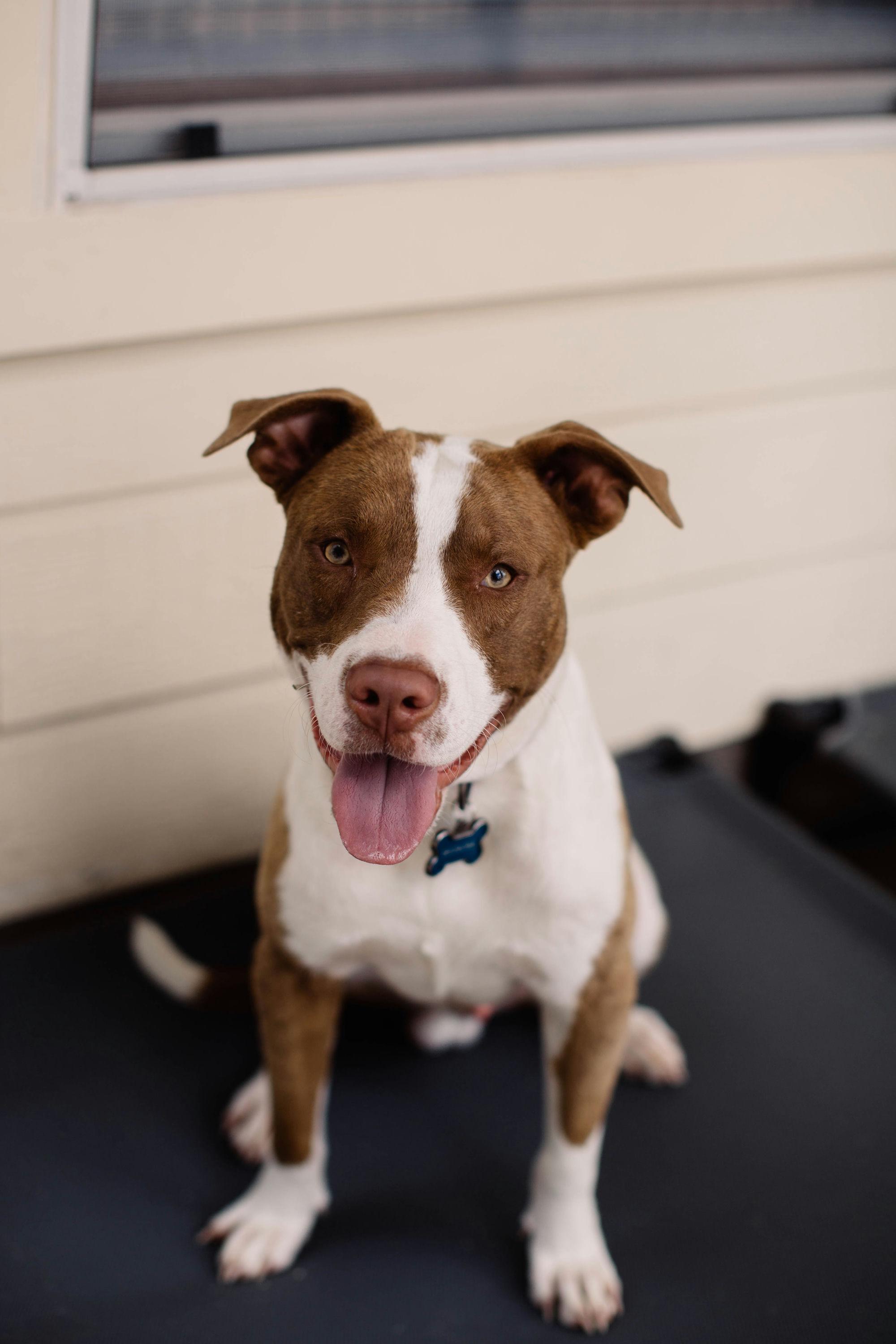 Copper photo 5
