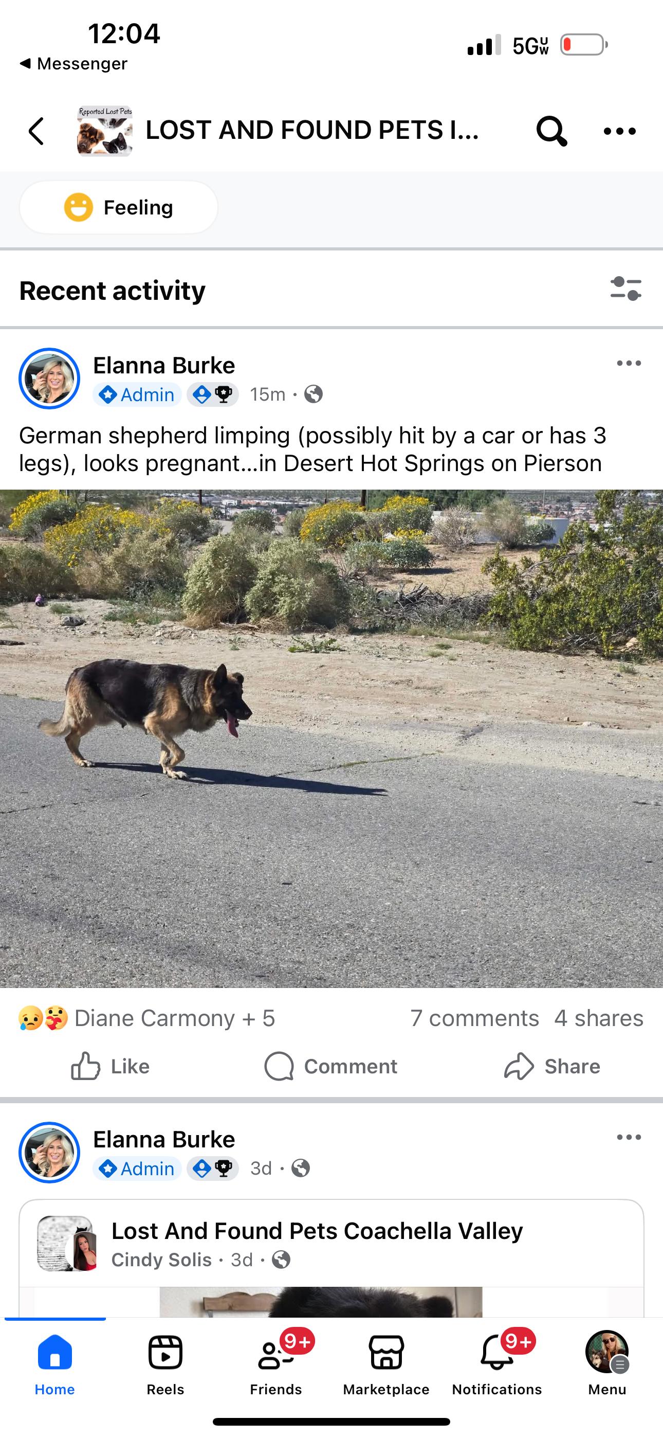Valkyrie, a Adoptable German Shepherd Dog in Palm desert, CA image 3/3
