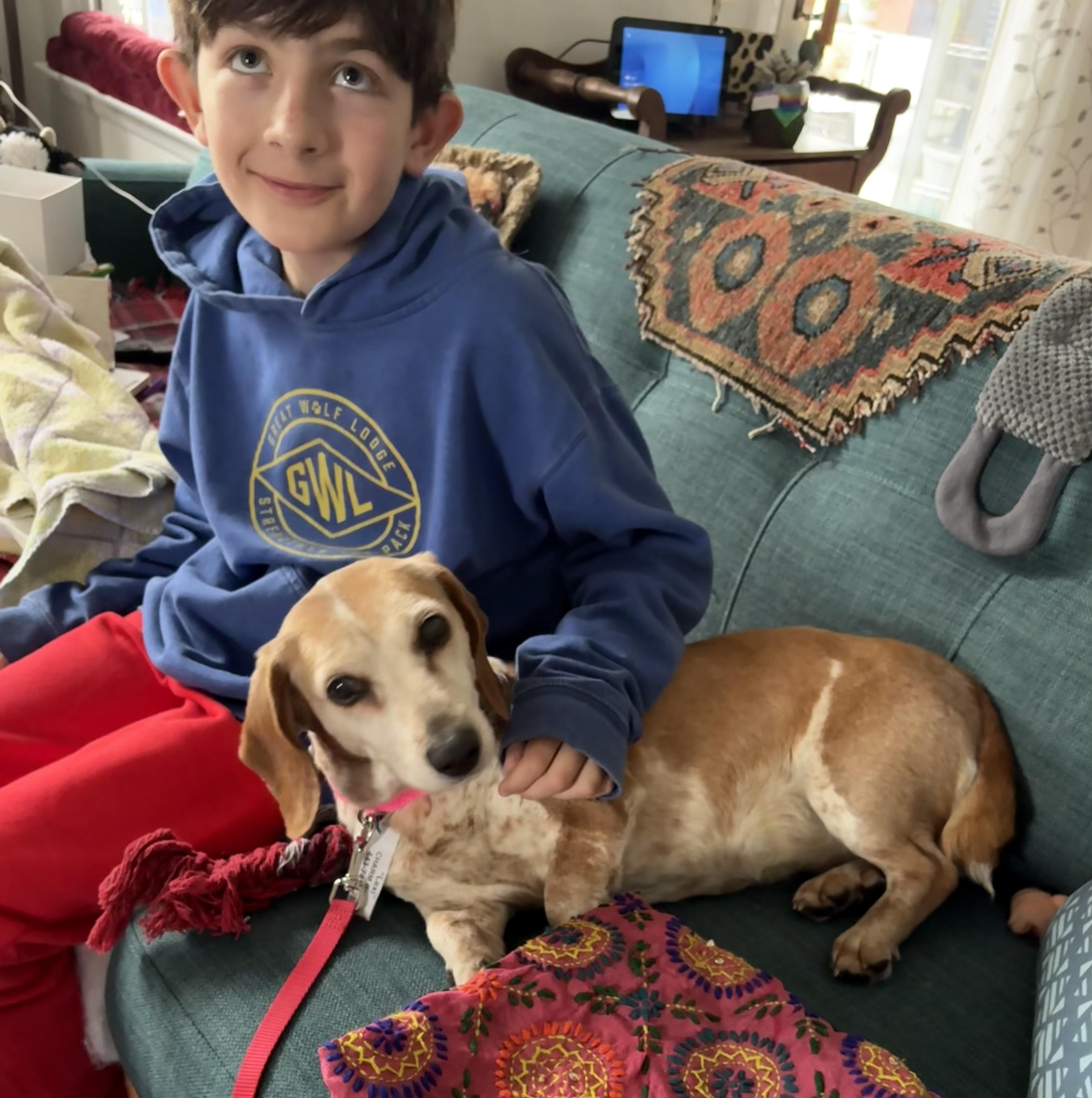 Enlarge Dexie (I’m a senior), an adoptable Beagle in Columbia, MD image 3/4