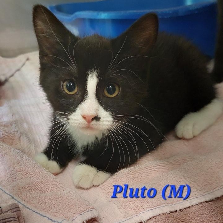 Pluto