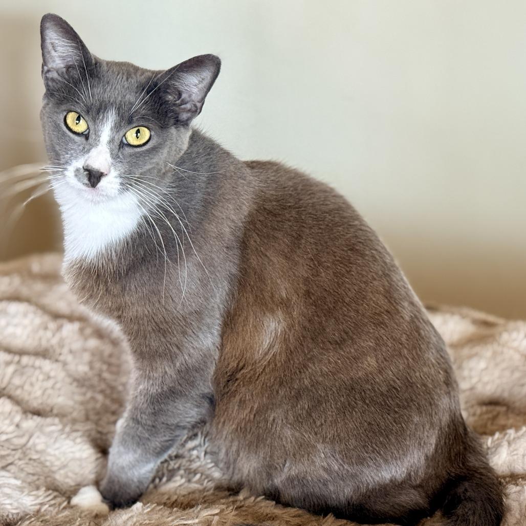 Stormy — thumbnail 3