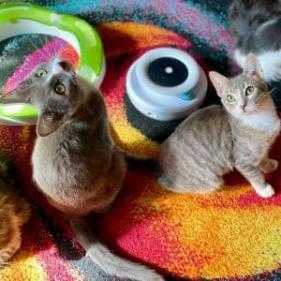 Stormy — thumbnail 4