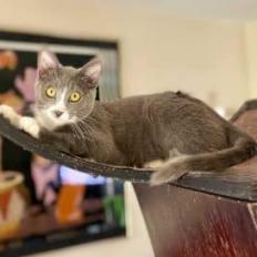 Stormy — thumbnail 6