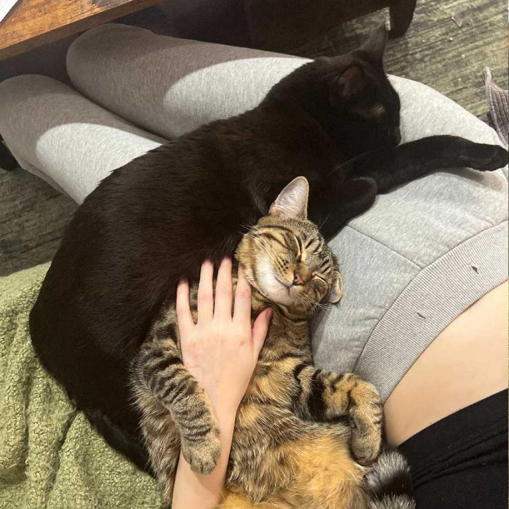 Gloria — thumbnail 3