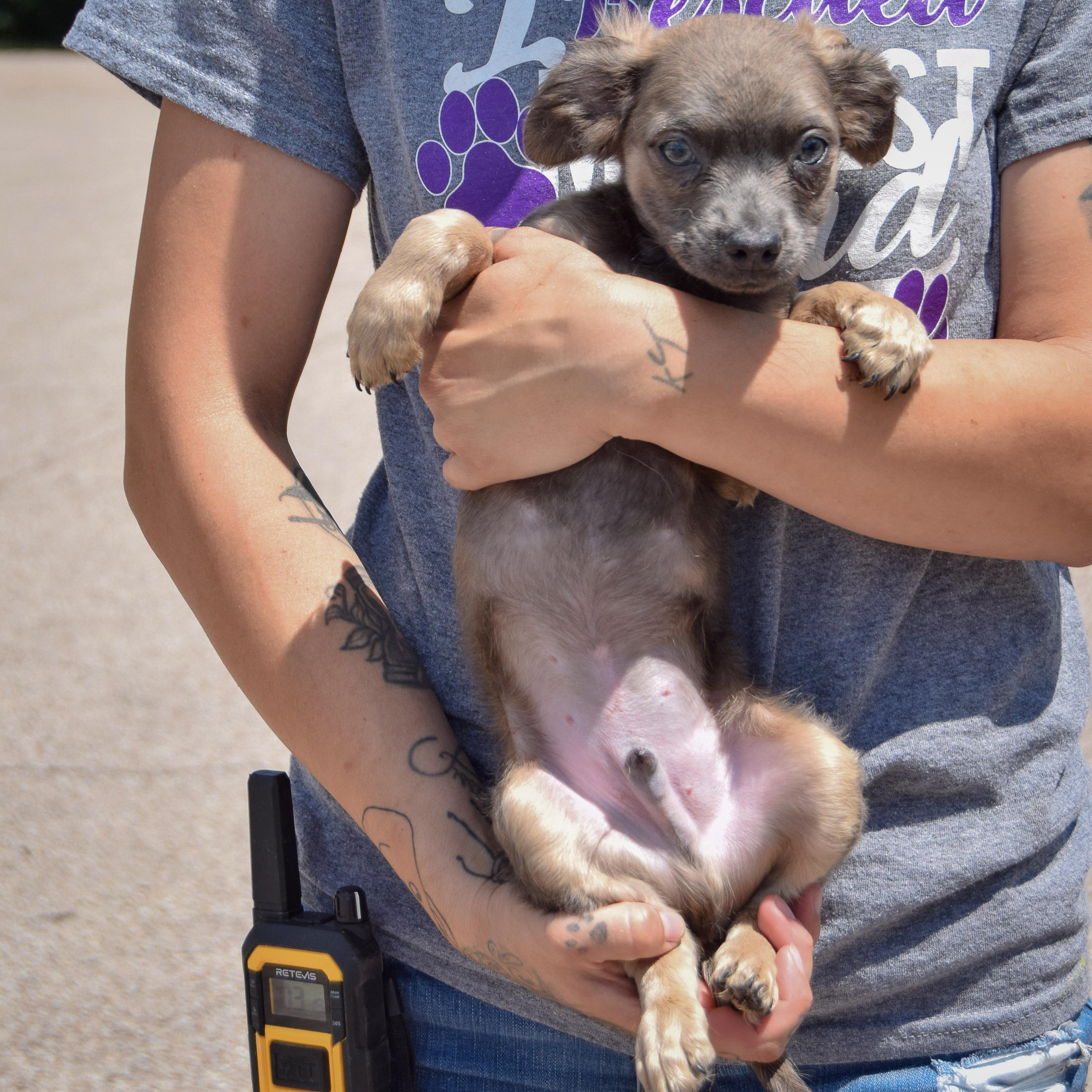 Chalupa photo 6