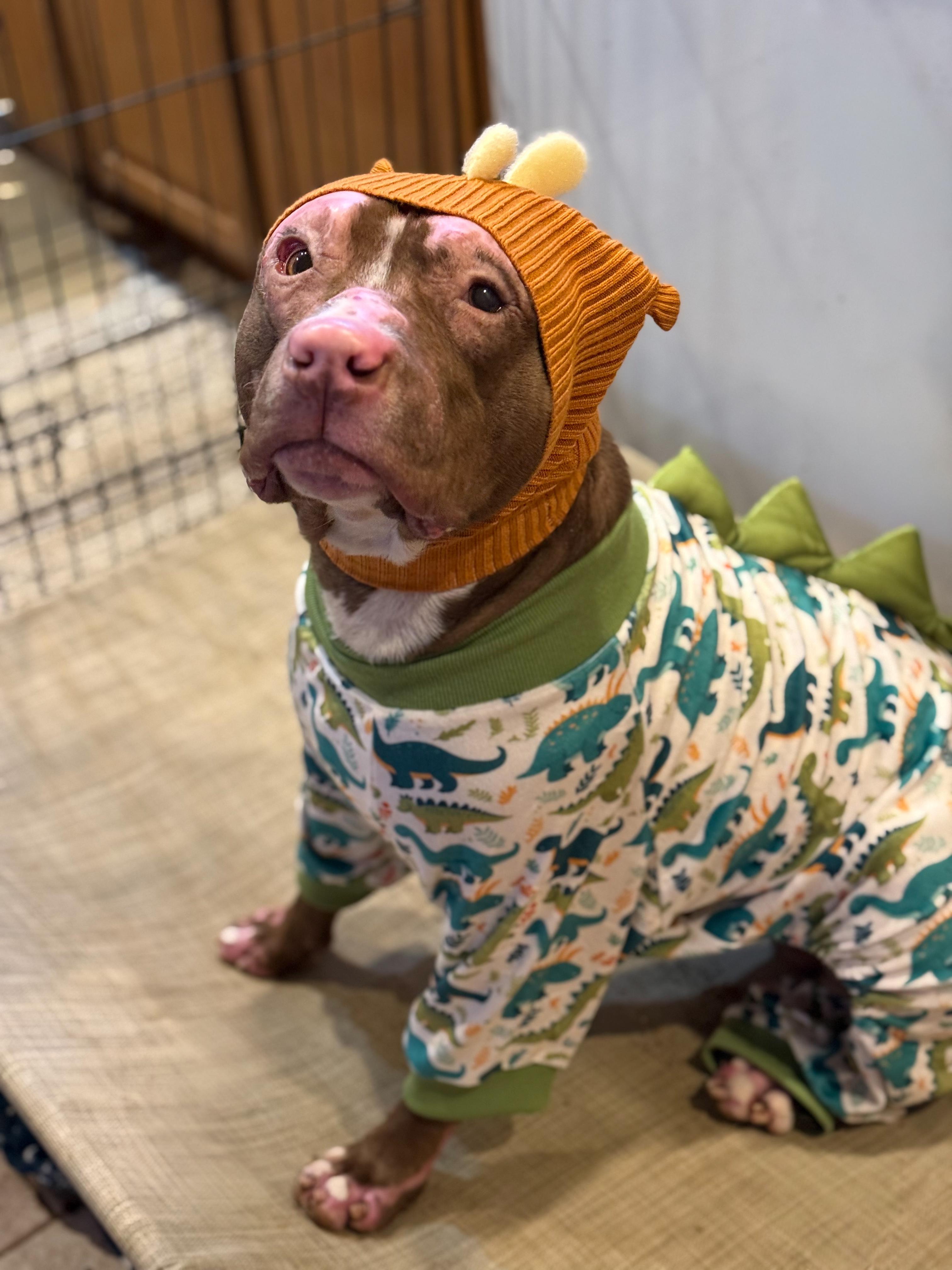 Constantine — thumbnail 6