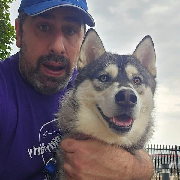 Zamboni, an adopted Husky in Buffalo, NY image 4/6