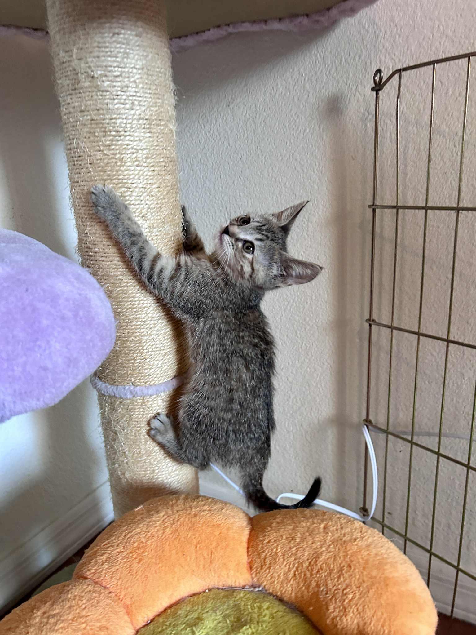 FonTina (Tina)
