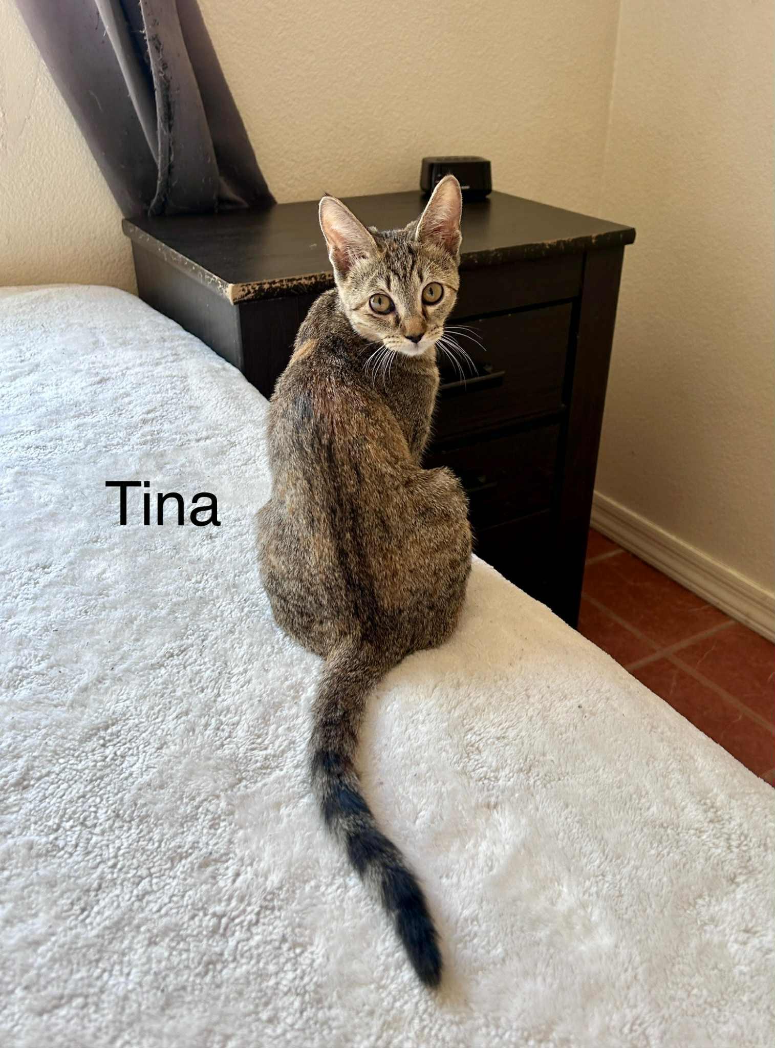 FonTina (Tina)