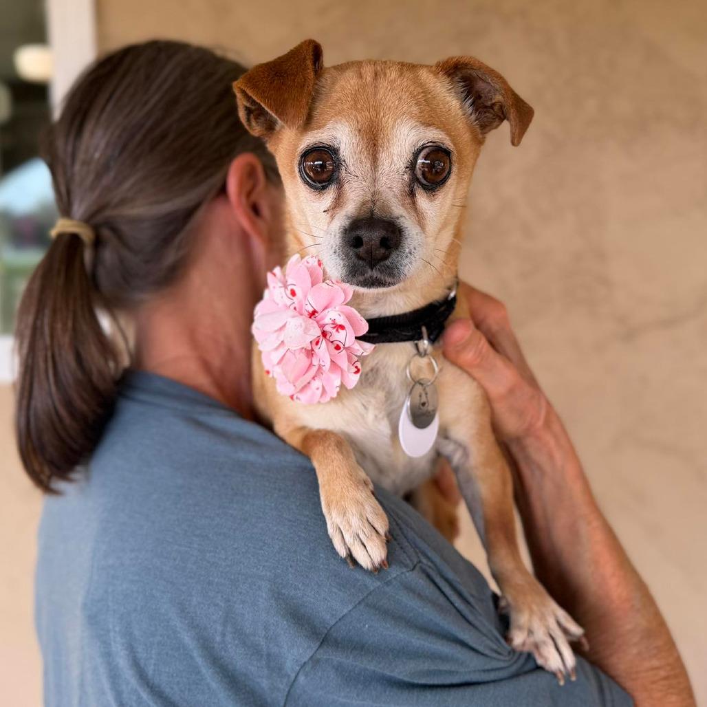 Ellie — thumbnail 3