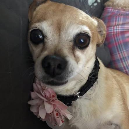 Ellie — thumbnail 4