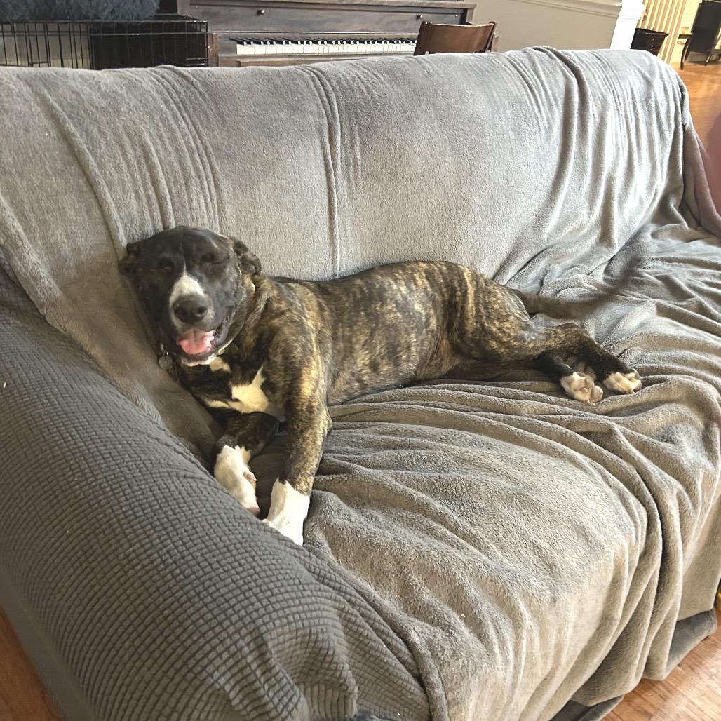 Zarina — thumbnail 3