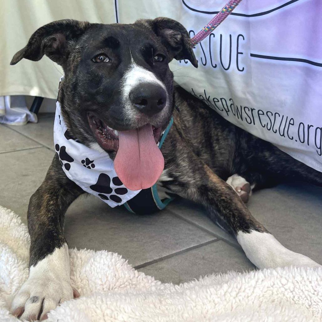 Zarina — thumbnail 4