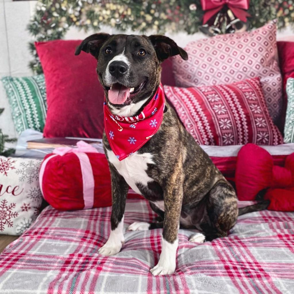 Zarina — thumbnail 5