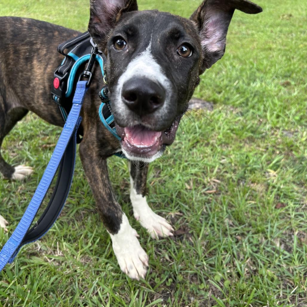 Zarina — thumbnail 6