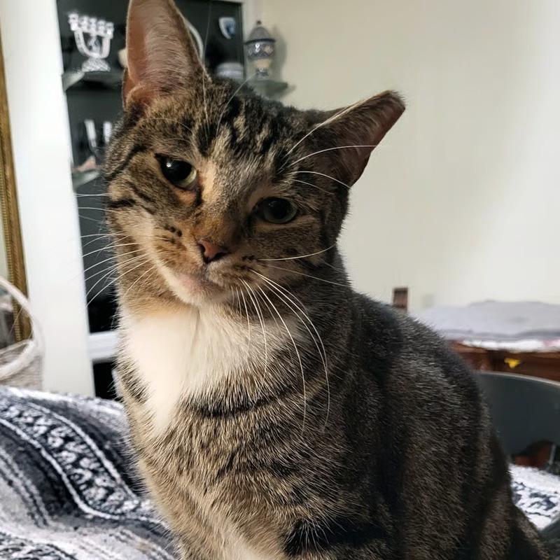 Nicole and Martin (Bonded Pair)