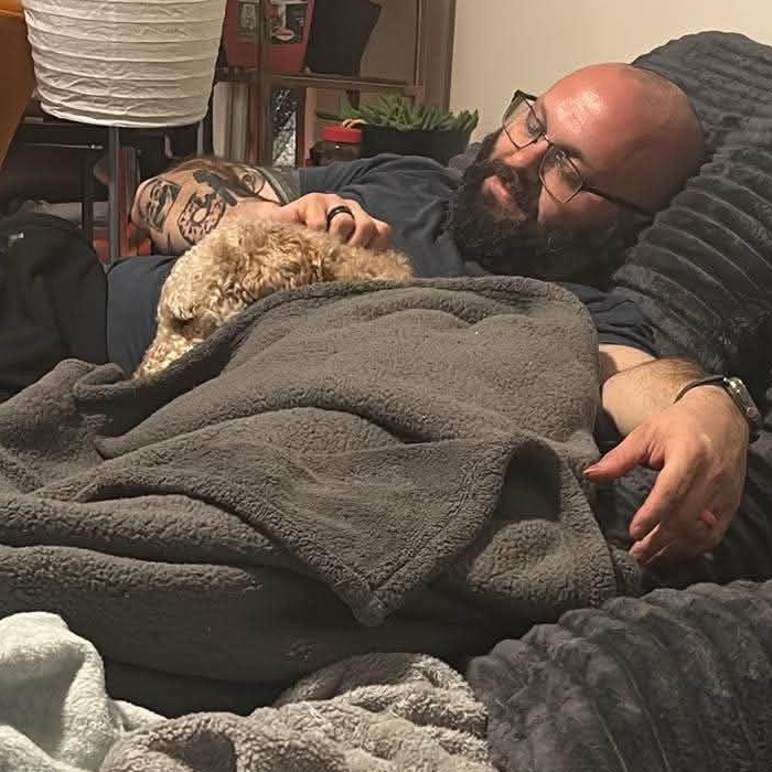 Clover, an adopted Poodle in Rochester, NY image 5/6