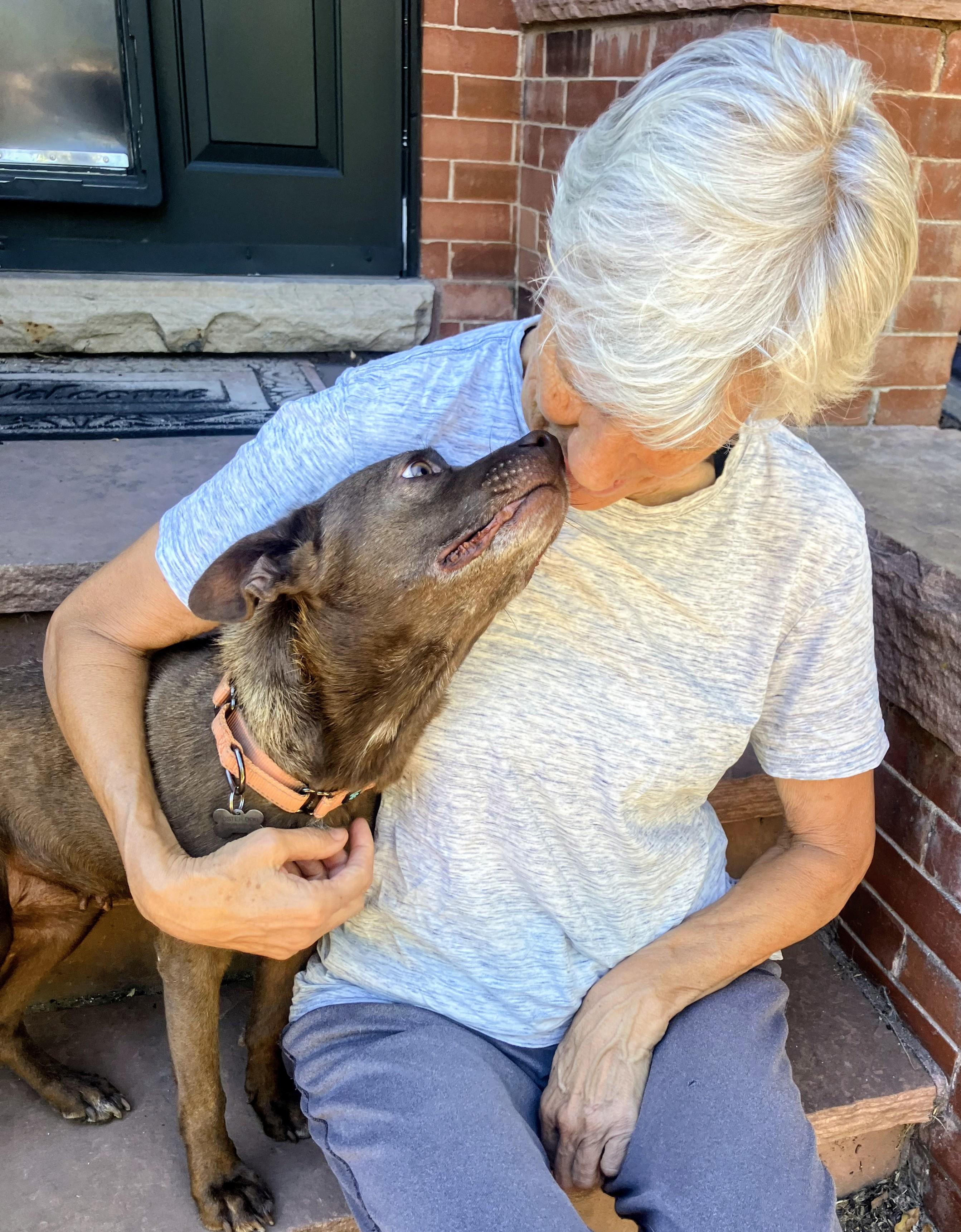 Enlarge Nona, a Adoptable mixed breed in Evergreen, CO image 4/6