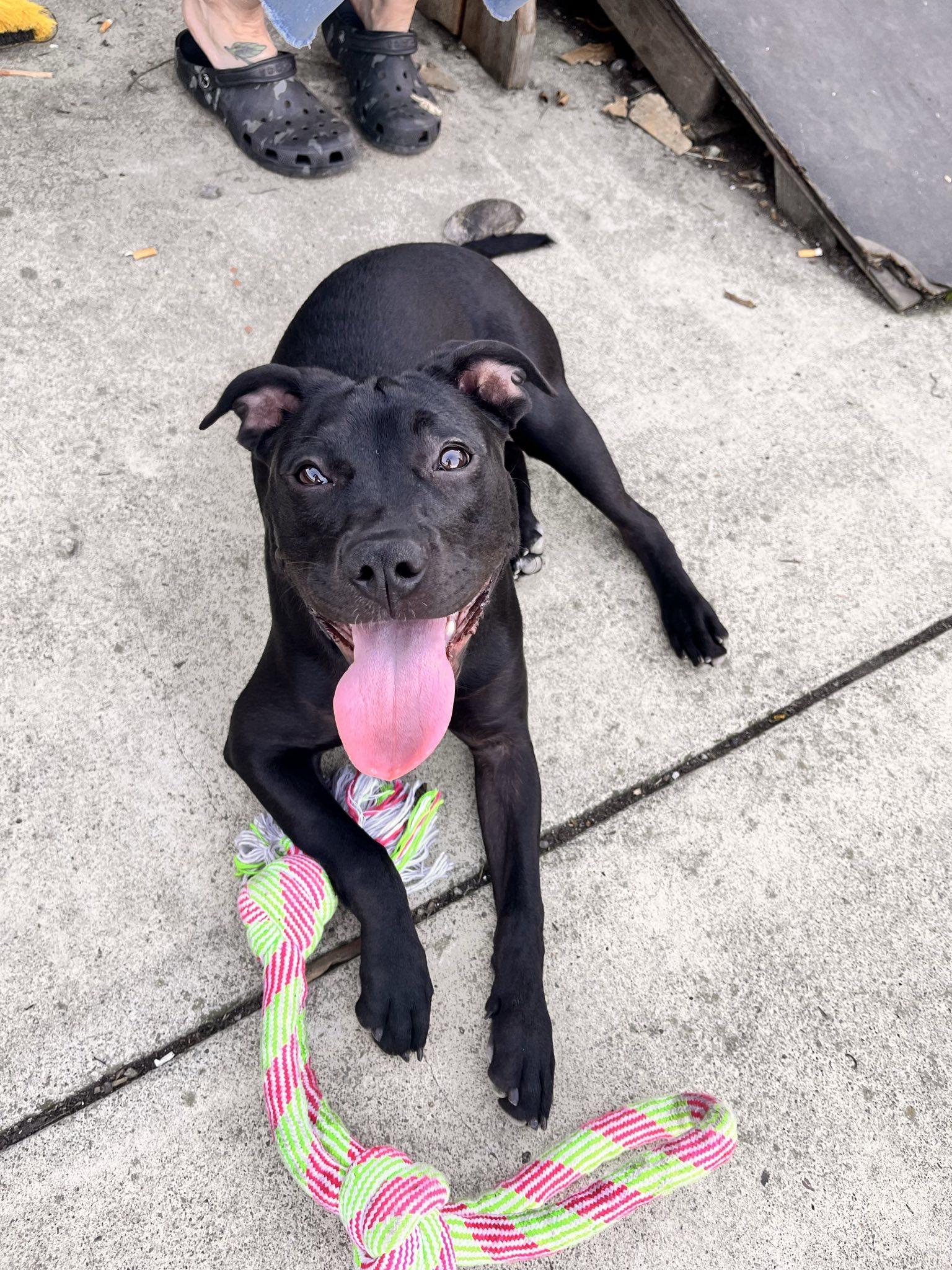 Wednesday thumbnail 4