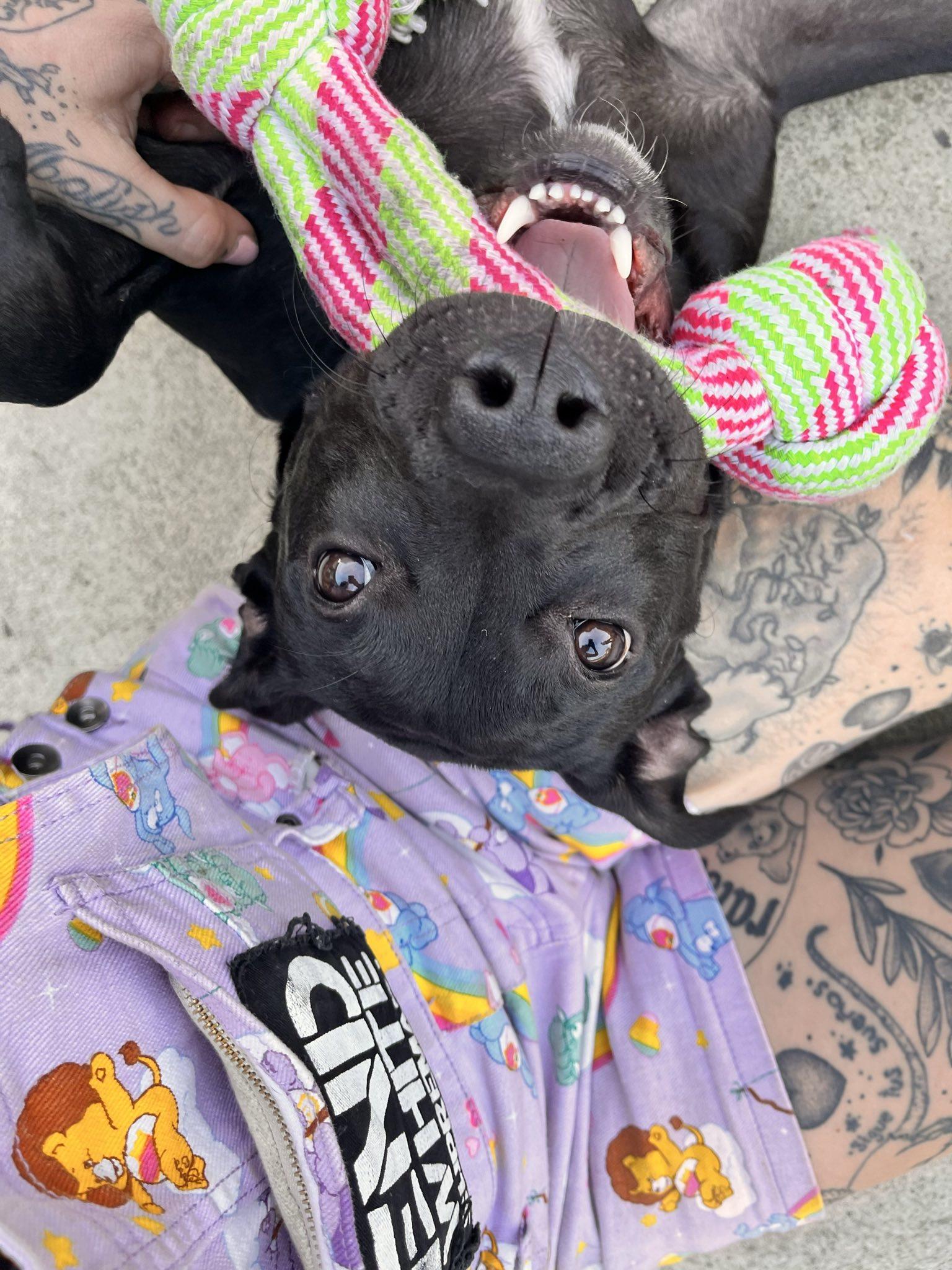 Wednesday thumbnail 2