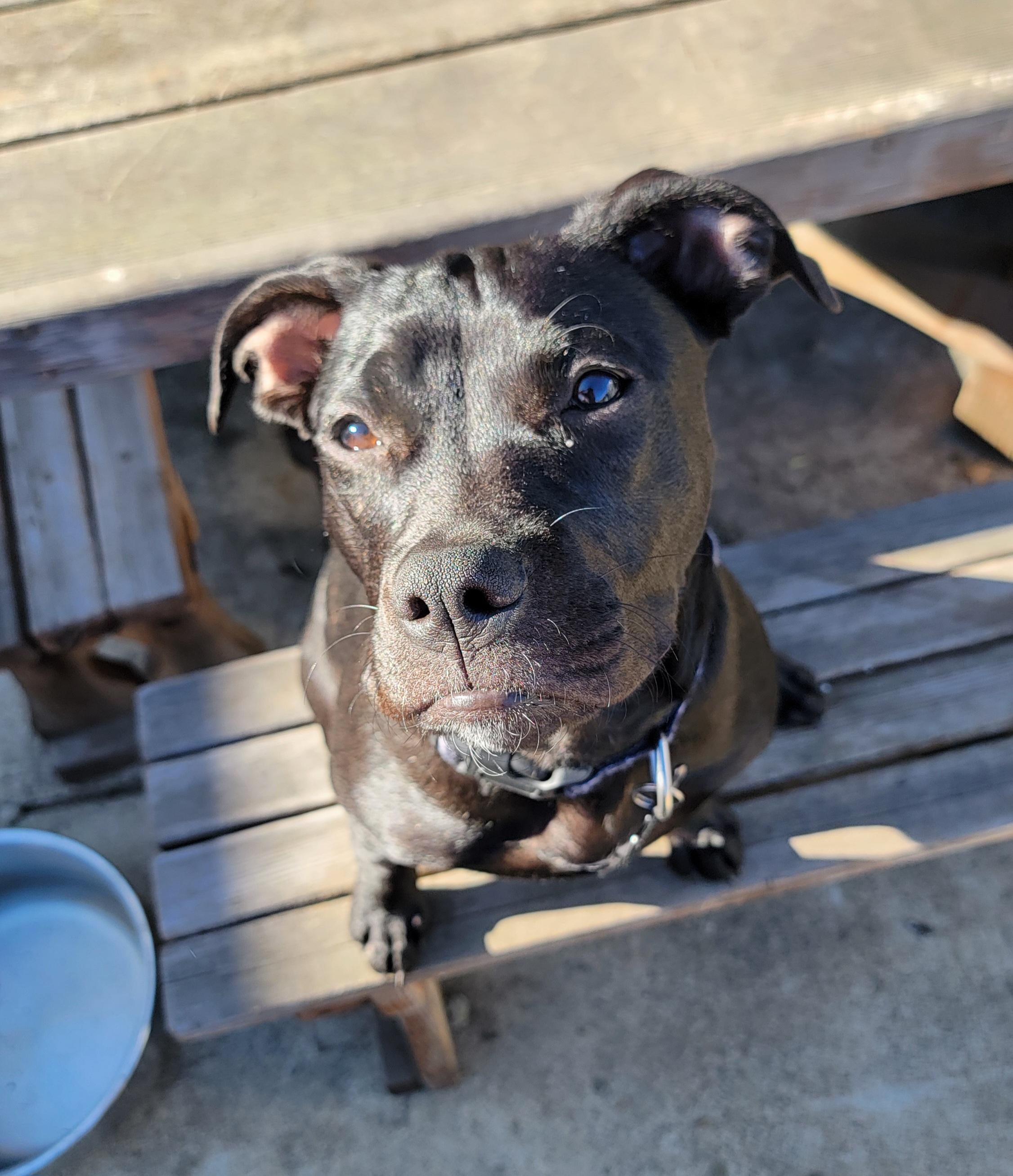 Wednesday thumbnail 6