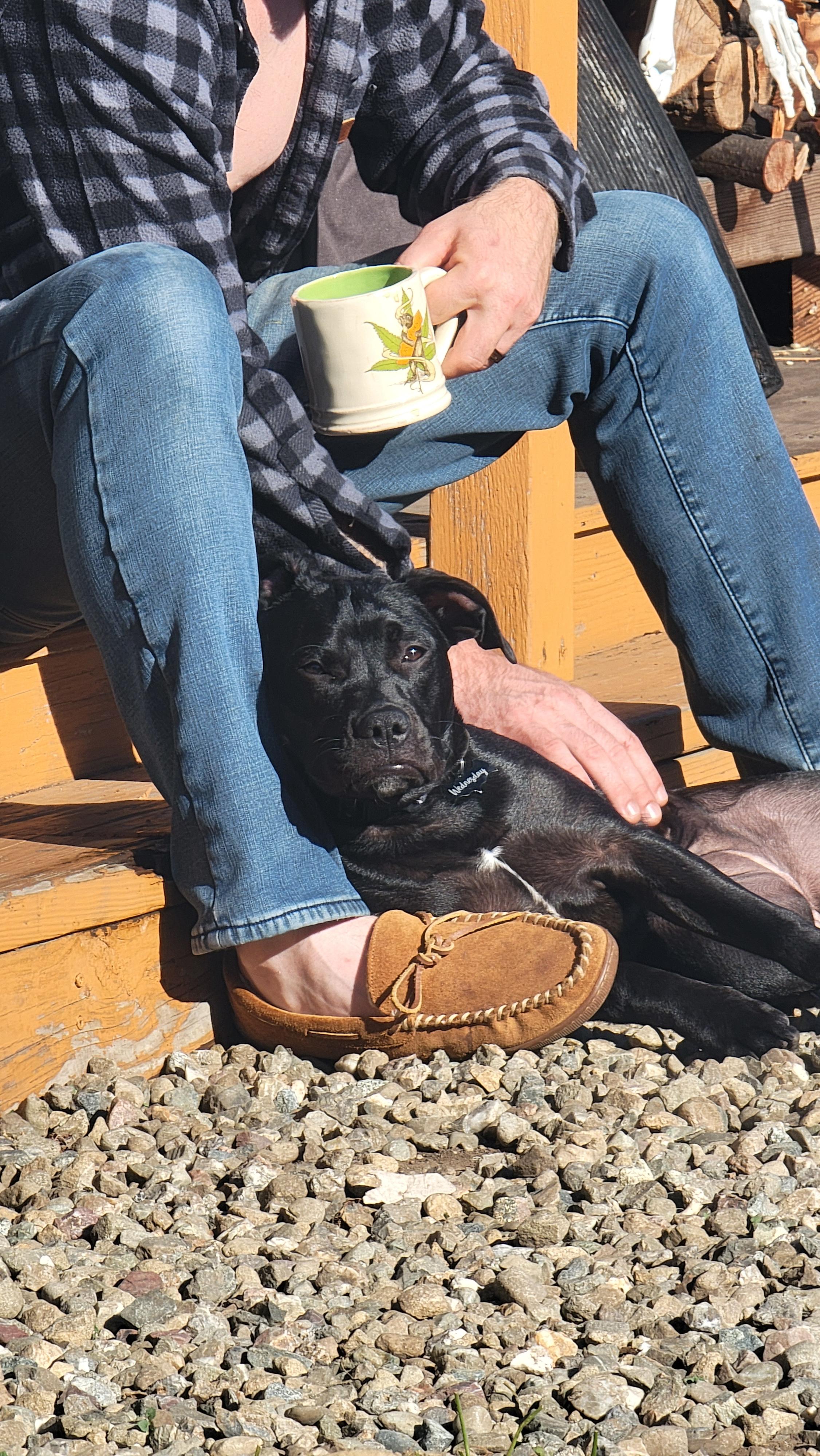 Wednesday thumbnail 5