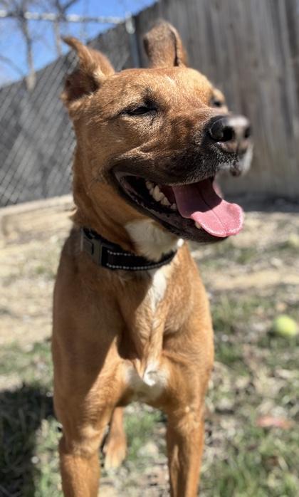 Chloe — thumbnail 2