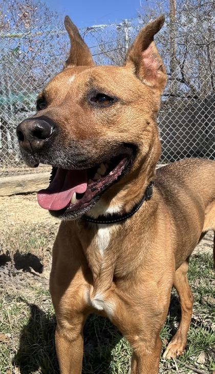 Chloe — thumbnail 3