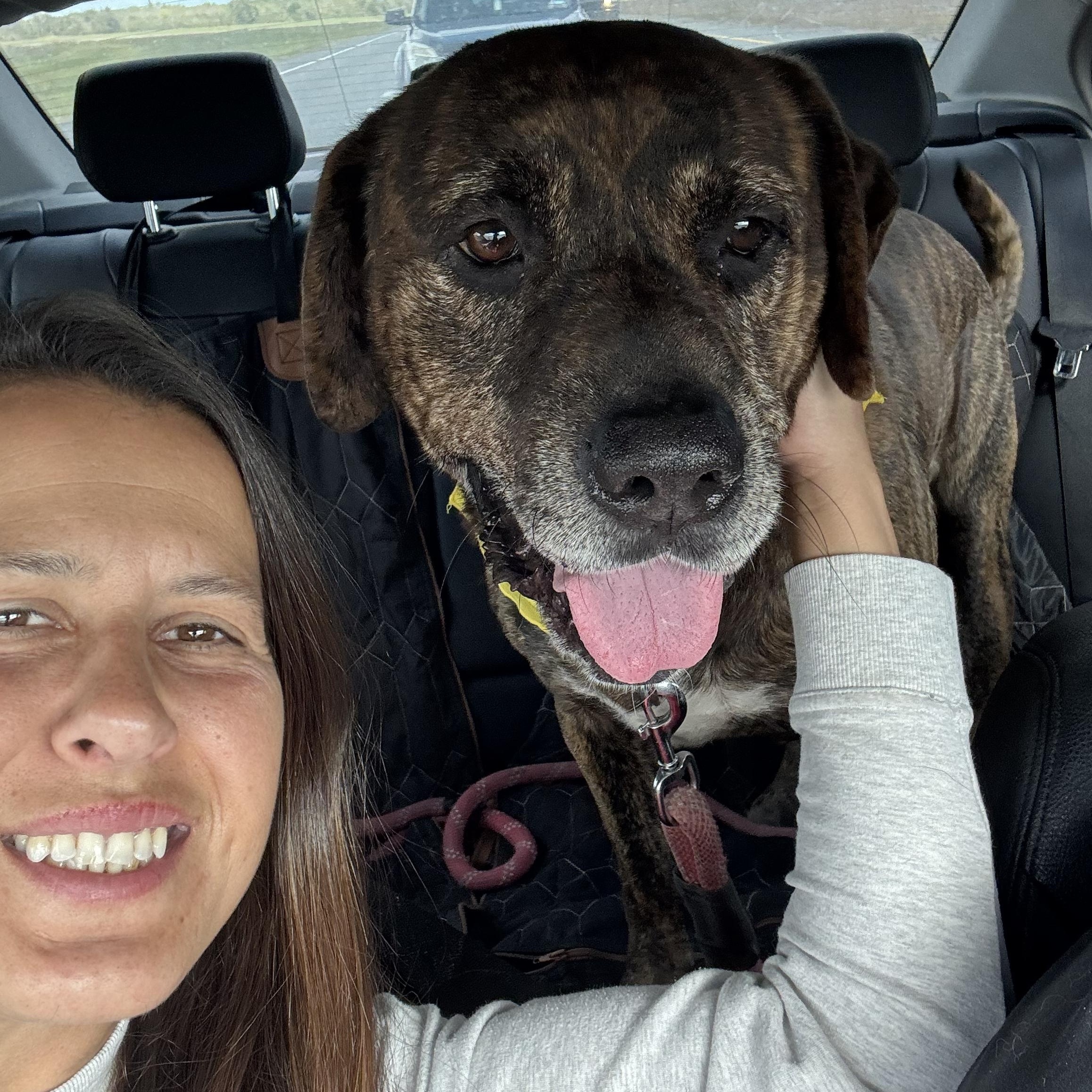 Uncle Joe Steady Eddie