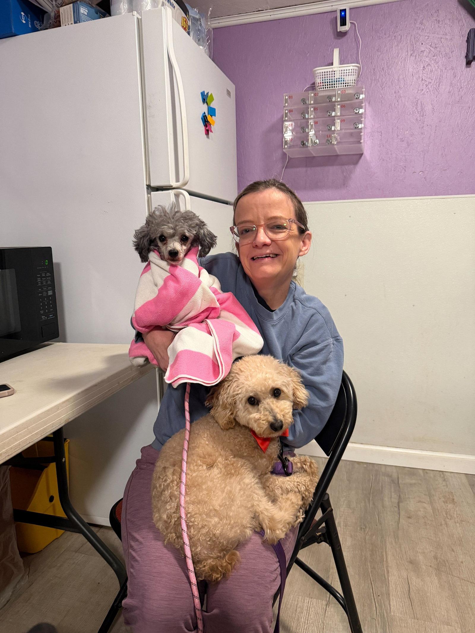Enlarge Pixel Mar 26, a Adopted Poodle in Pacolet, SC image 2/2