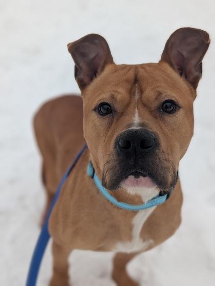 Cash — thumbnail 2