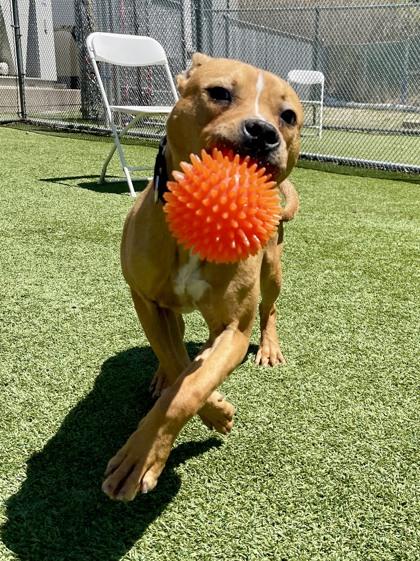 Cash — thumbnail 3