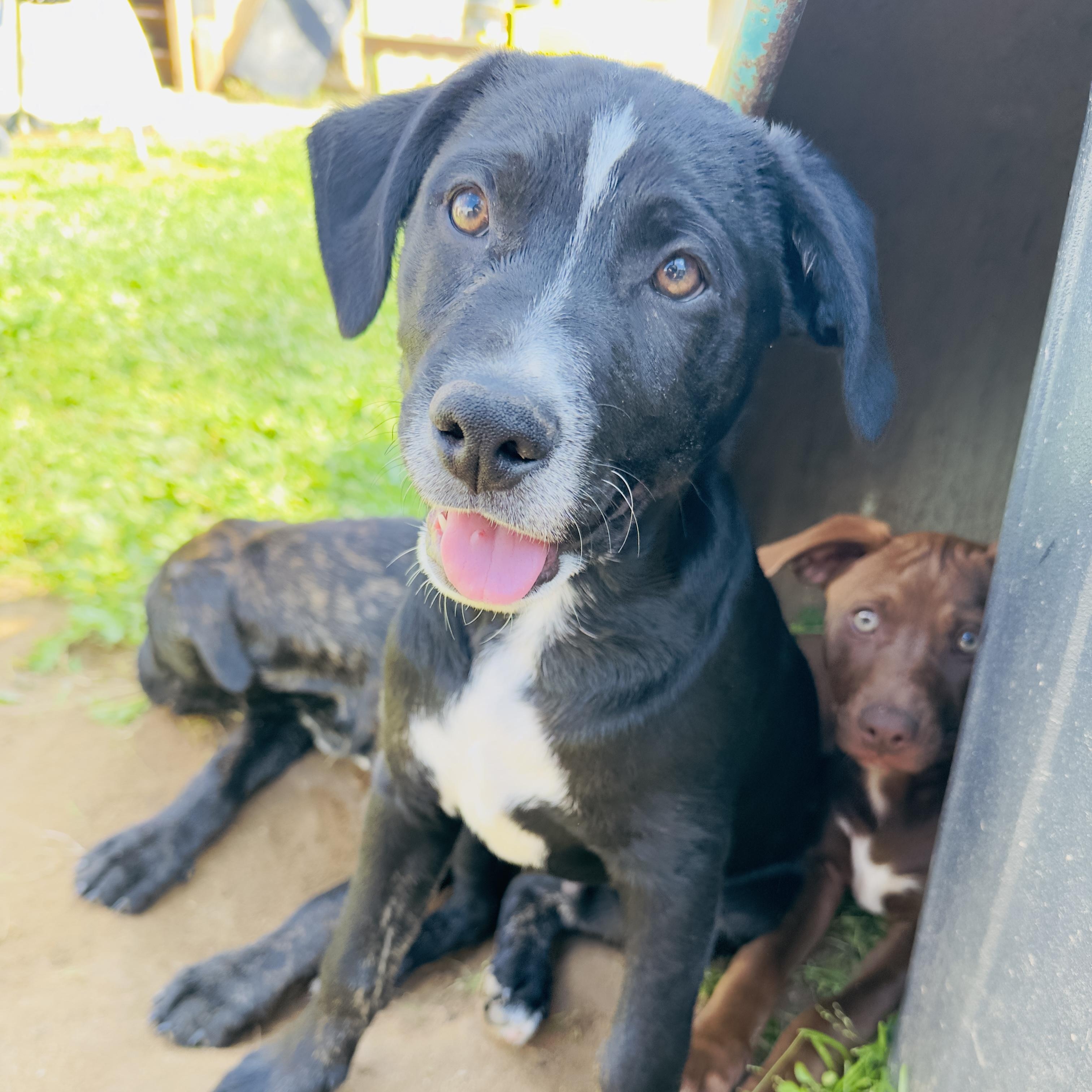 Miller — thumbnail 2