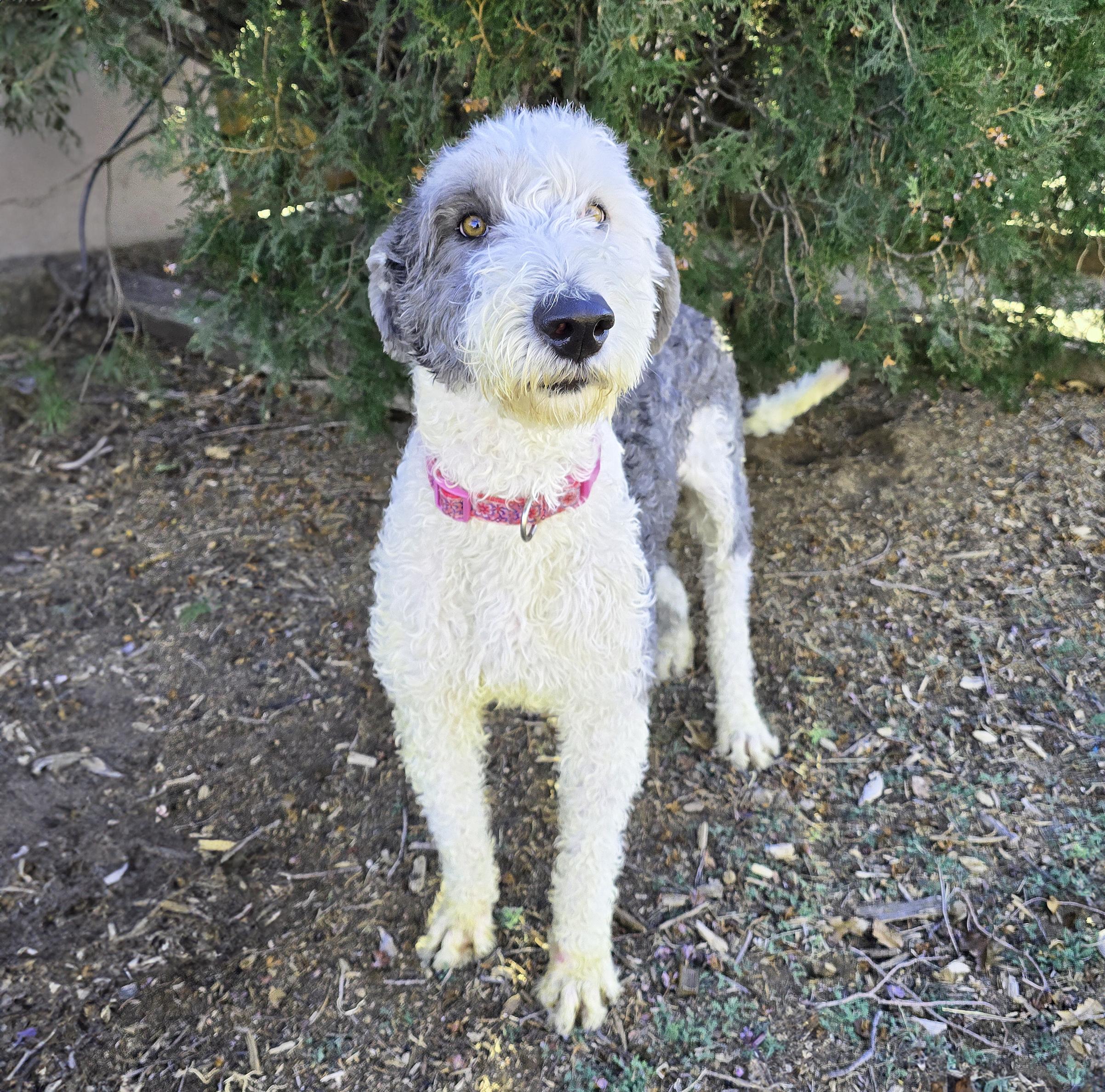 Jazzy Ms Jessi ~ thumbnail 3