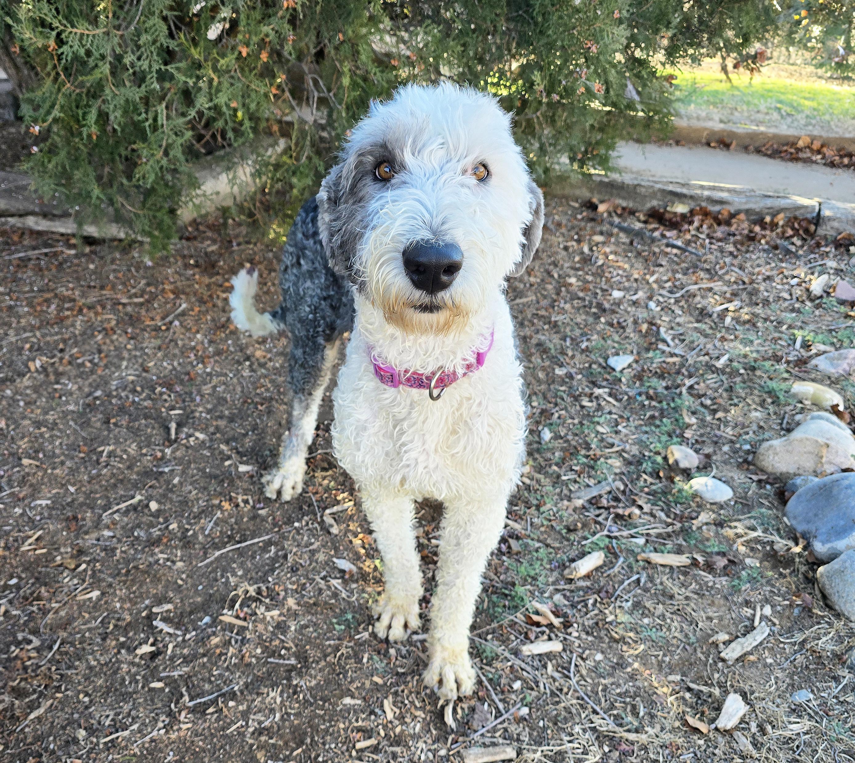 Jazzy Ms Jessi ~ thumbnail 5