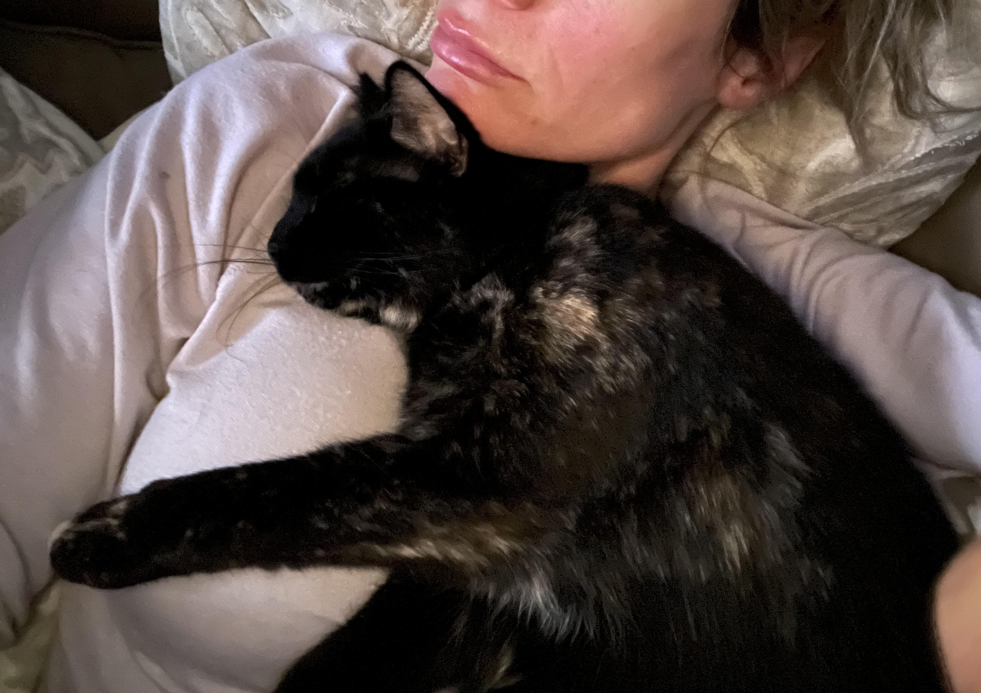 Enlarge Riley, a Adoptable mixed breed in Ridgefield, CT image 3/6