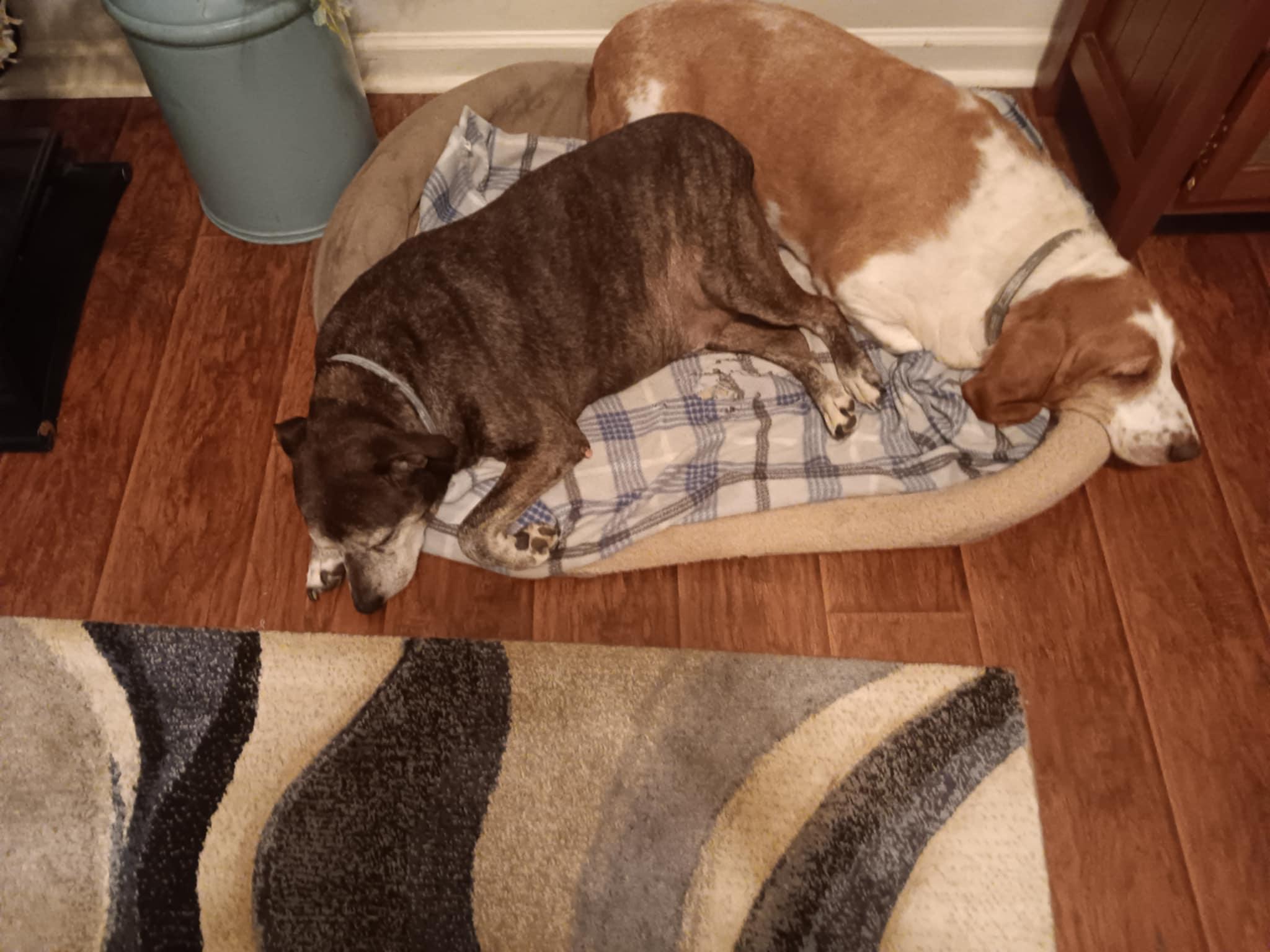 Banjo and Clyde