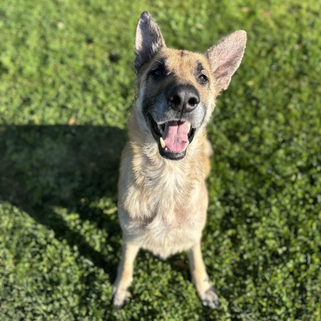 Rango — thumbnail 2