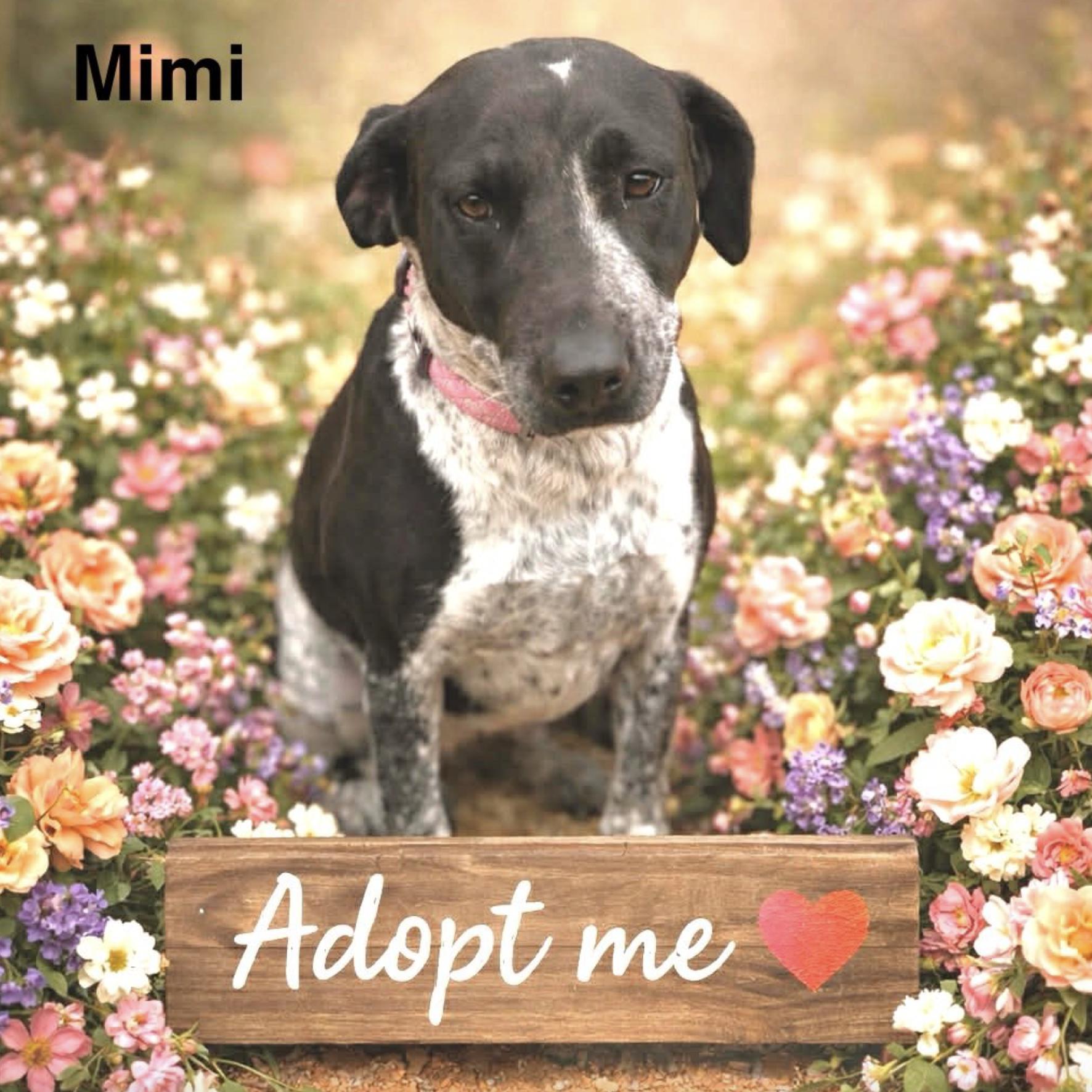 Mimi