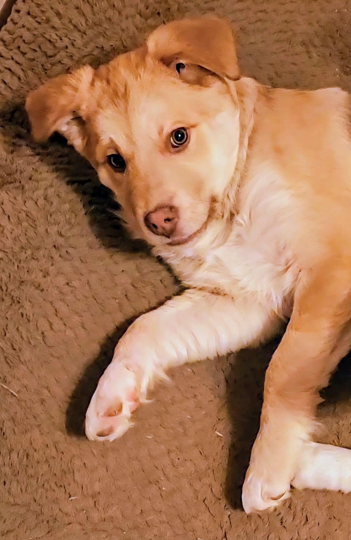 Kiwetin (20260120-06) — thumbnail 3