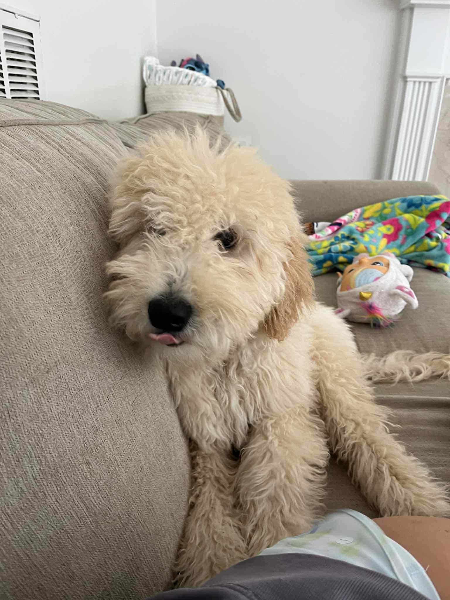 Gus