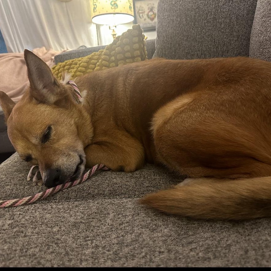 Penny — thumbnail 3