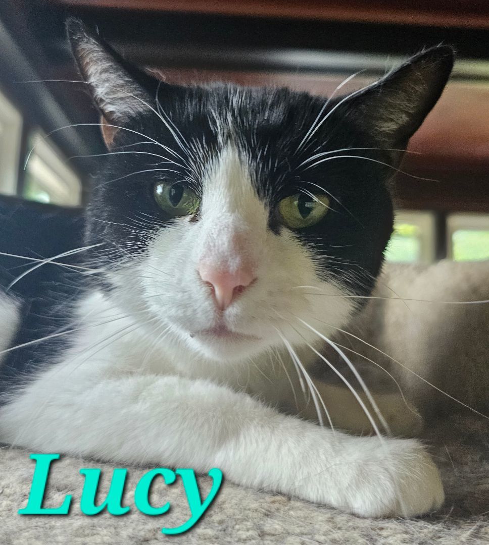Lucy