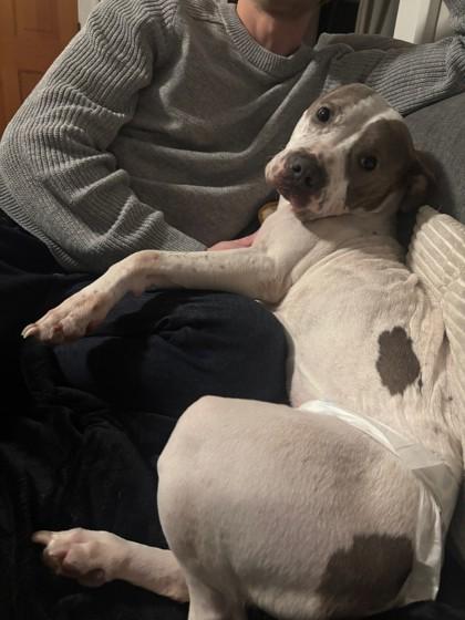 Daisy — thumbnail 2