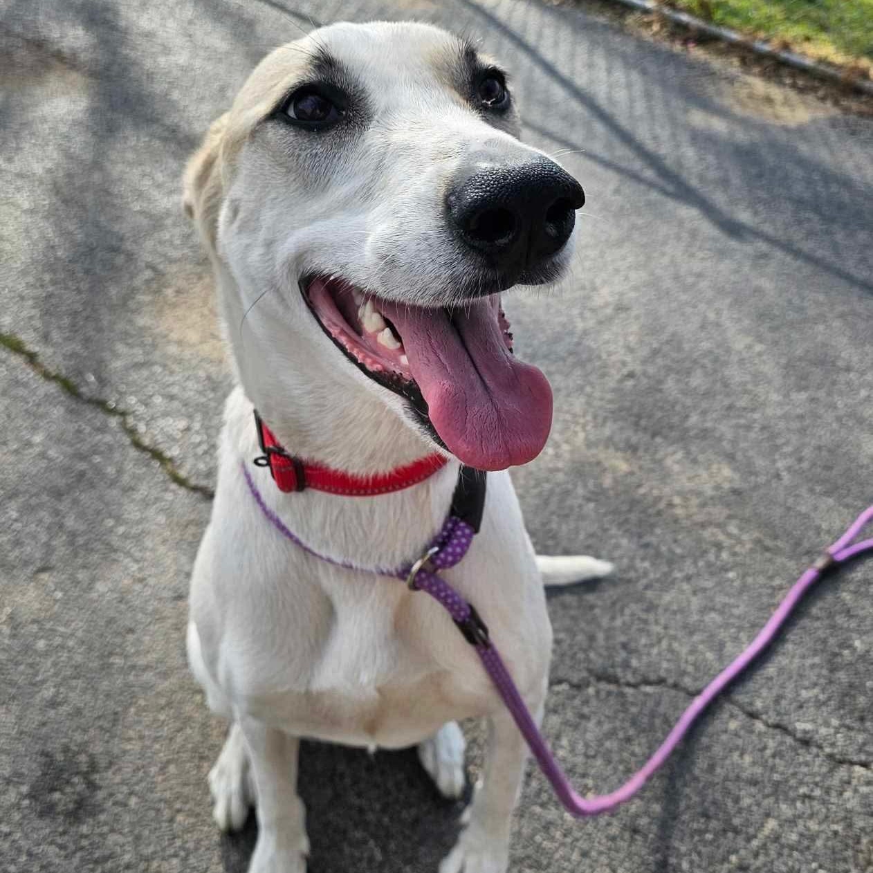 Molly Mae thumbnail 3