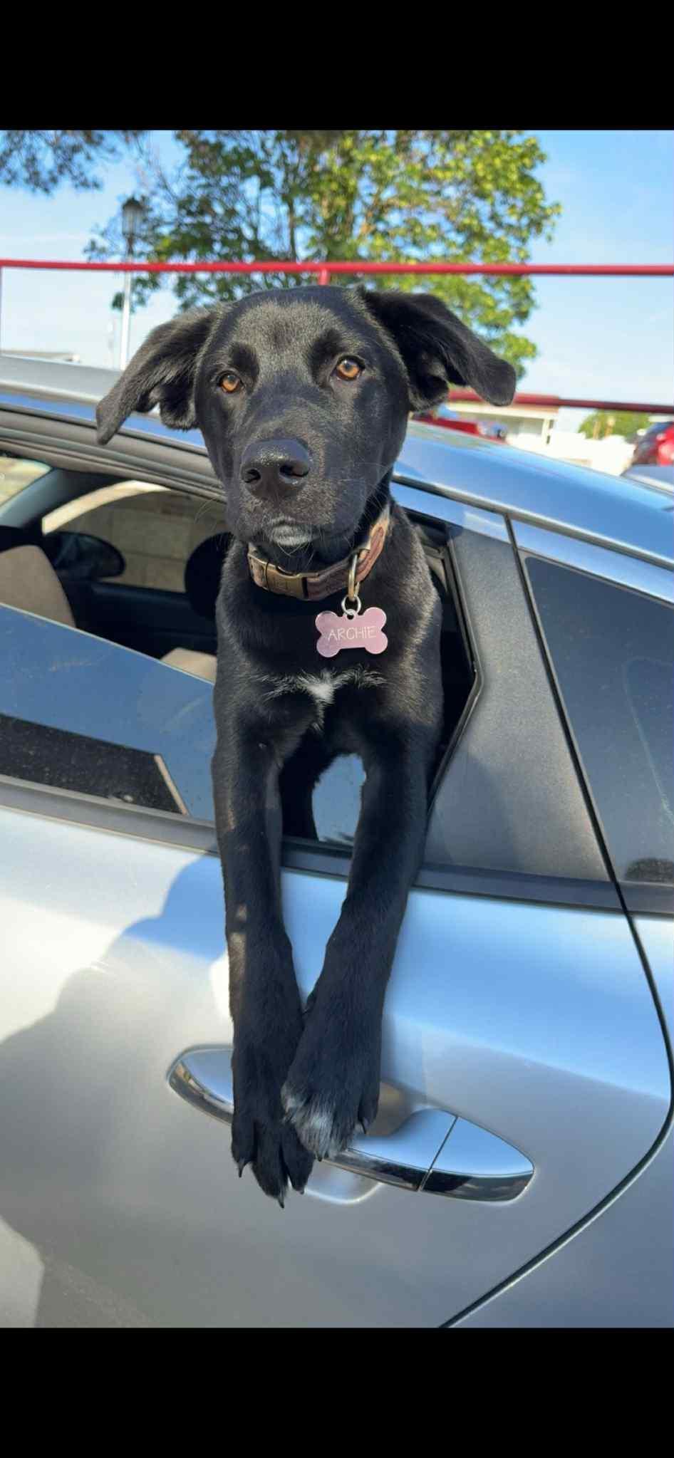 Archie