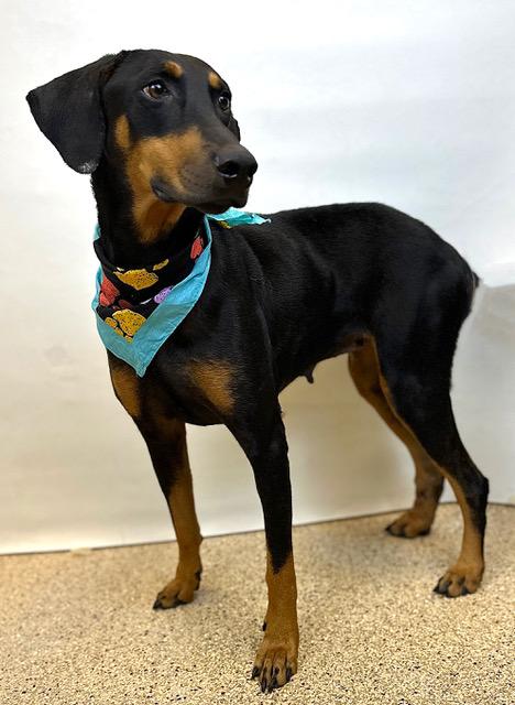 Thelma, Senior Female unknown