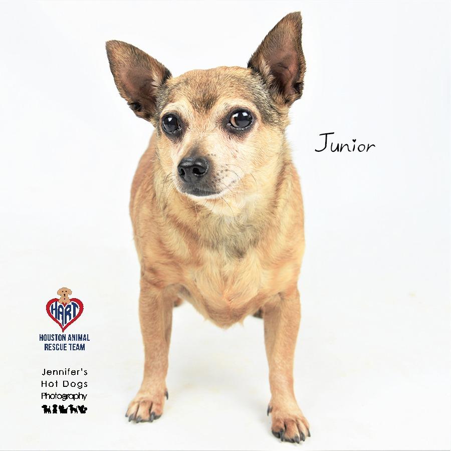 Junior — thumbnail 2