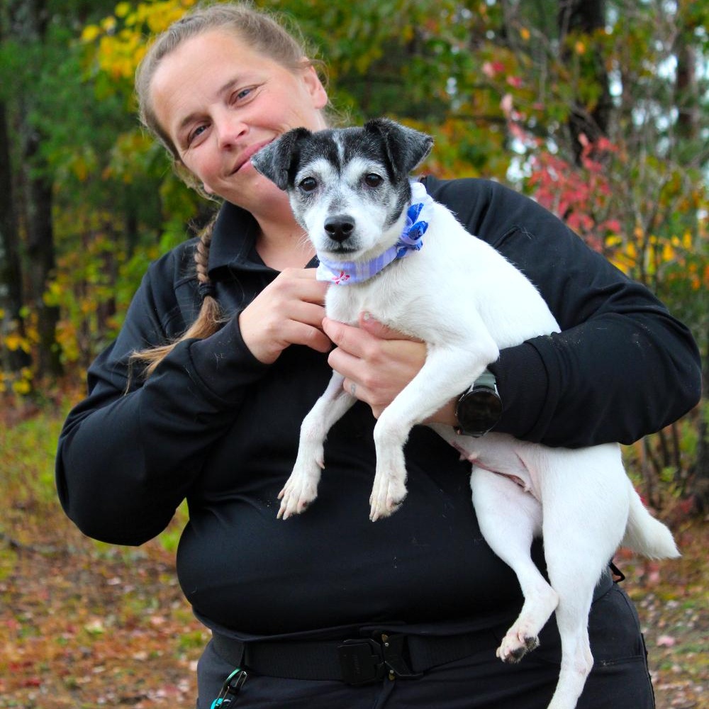 Oreo (Part of a bonded pair with Snickers), a Adoptable Jack Russell Terrier in Cheboygan, MI image 4/6